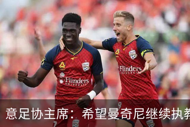 意足协主席：希望曼奇尼继续执教 没想到会这样